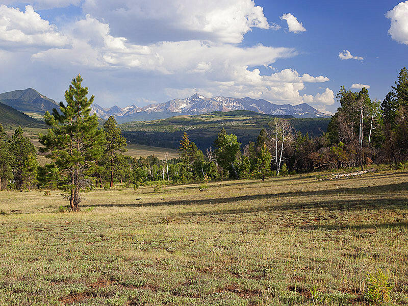 484 Gutshall Lane Placerville, CO 81430 - Photo 31 of 32 a view of a yard with an outdoor space
