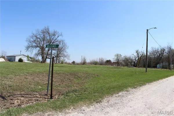 $36,500 | 102 South Caroline Avenue, Bellflower, MO 63333