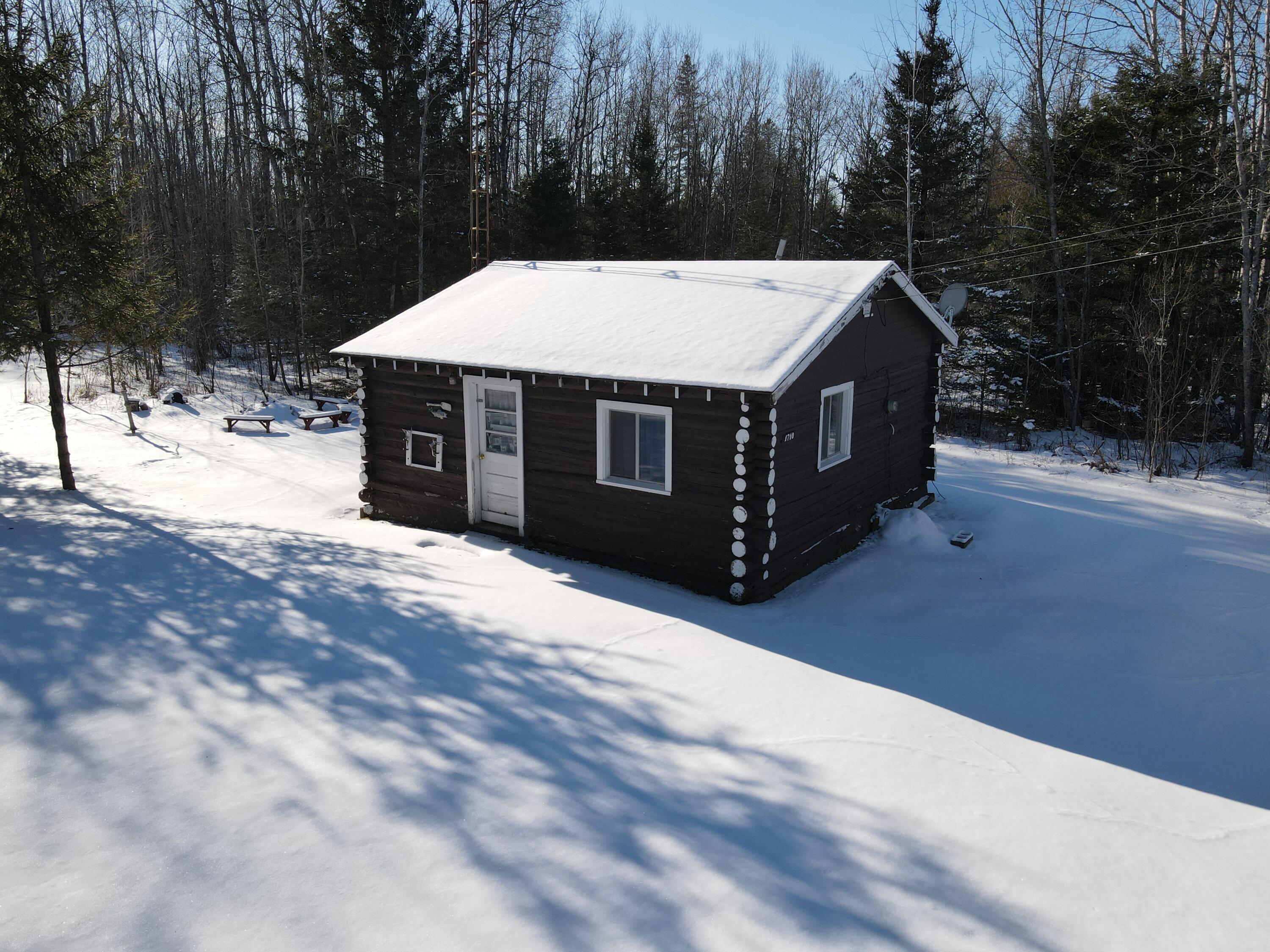 1710 Miller Road Lincoln, MI 48742 - Photo 2 of 58 DJI_0014