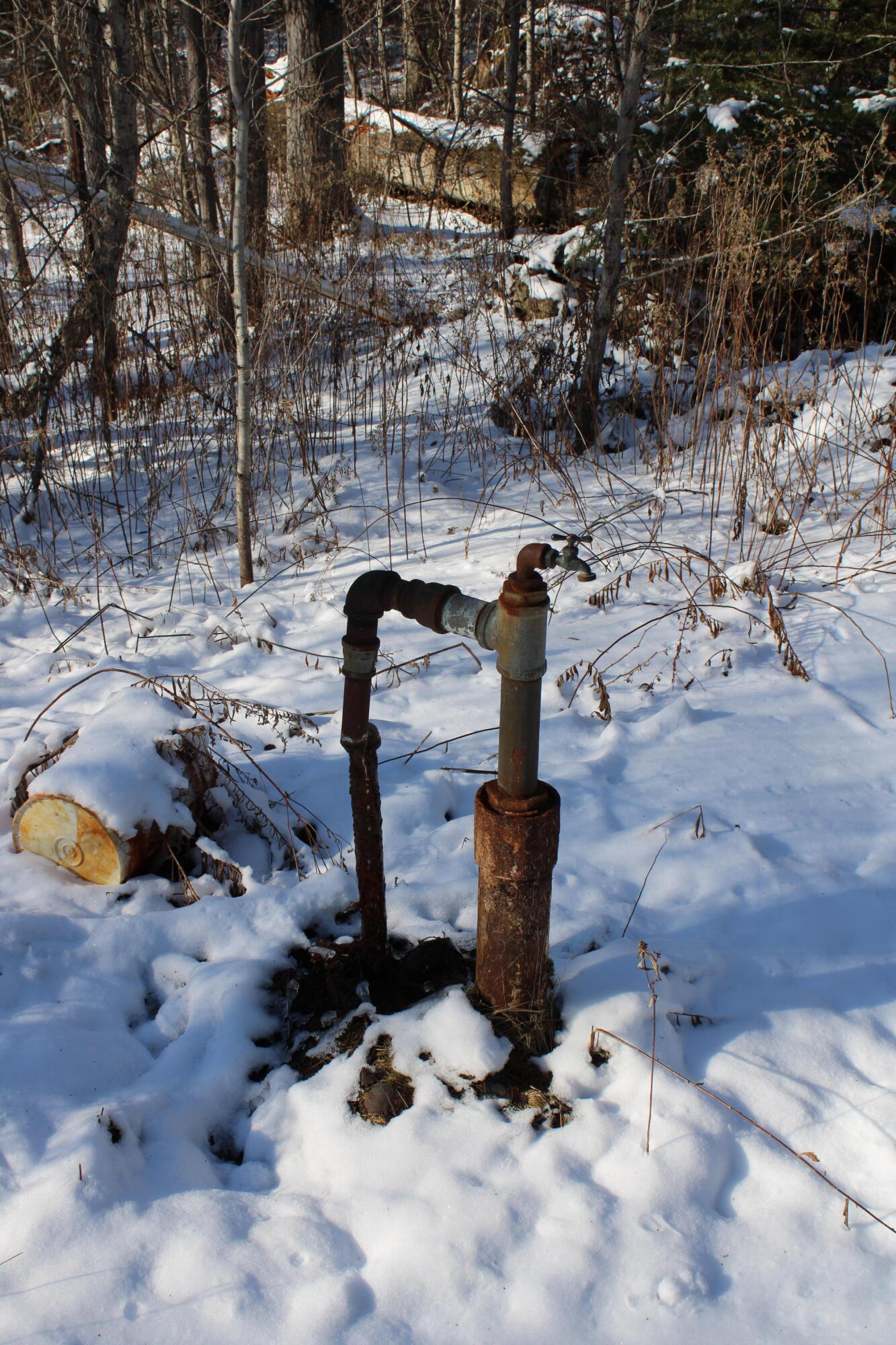 1710 Miller Road Lincoln, MI 48742 - Photo 23 of 58 IMG_5409