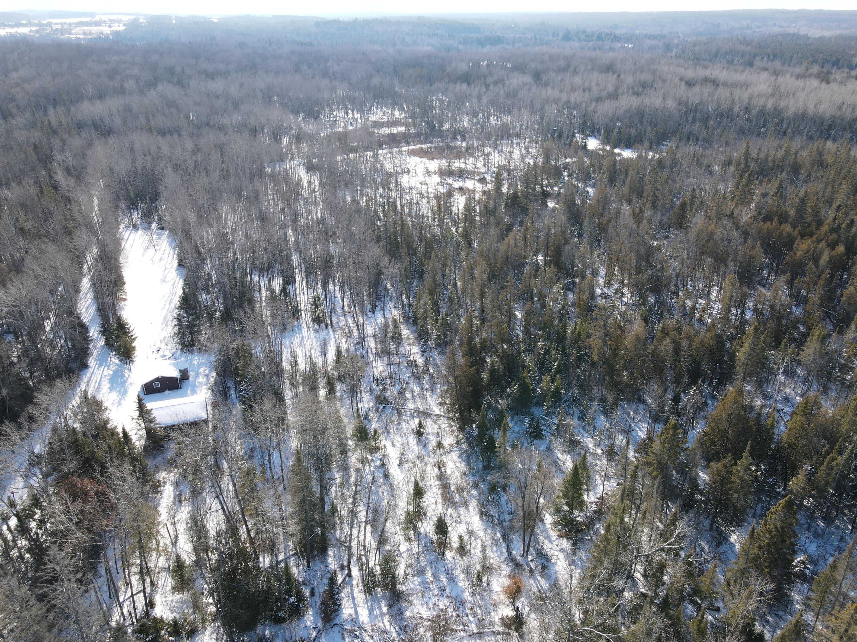 1710 Miller Road Lincoln, MI 48742 - Photo 25 of 58 DJI_0008