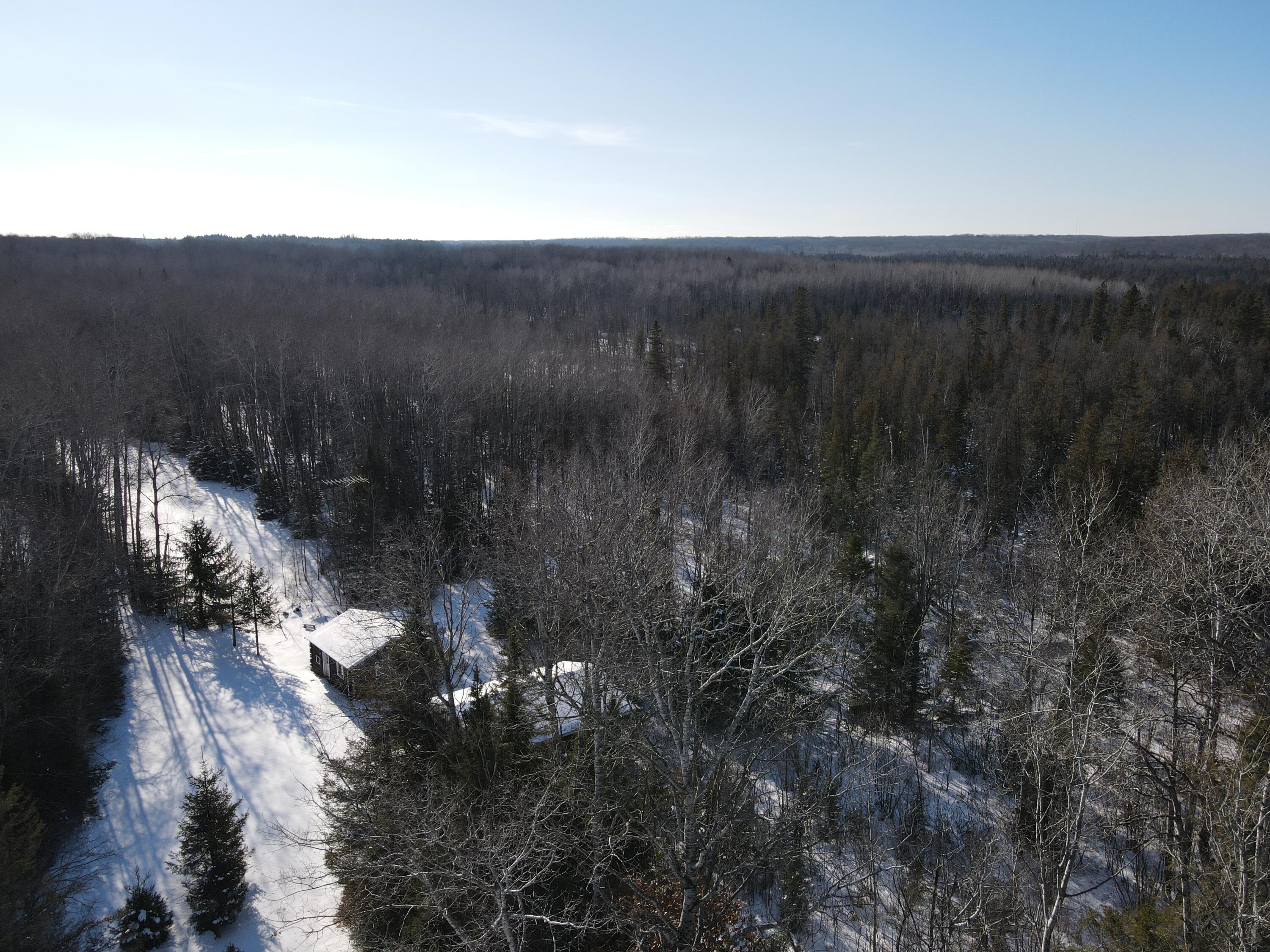 1710 Miller Road Lincoln, MI 48742 - Photo 27 of 58 DJI_0994