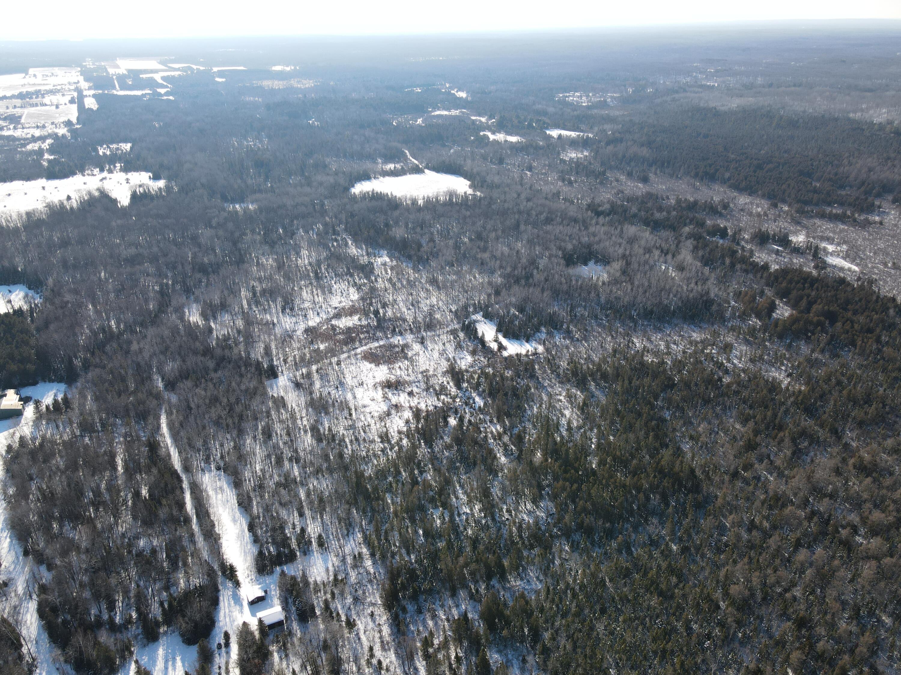 1710 Miller Road Lincoln, MI 48742 - Photo 28 of 58 DJI_0003