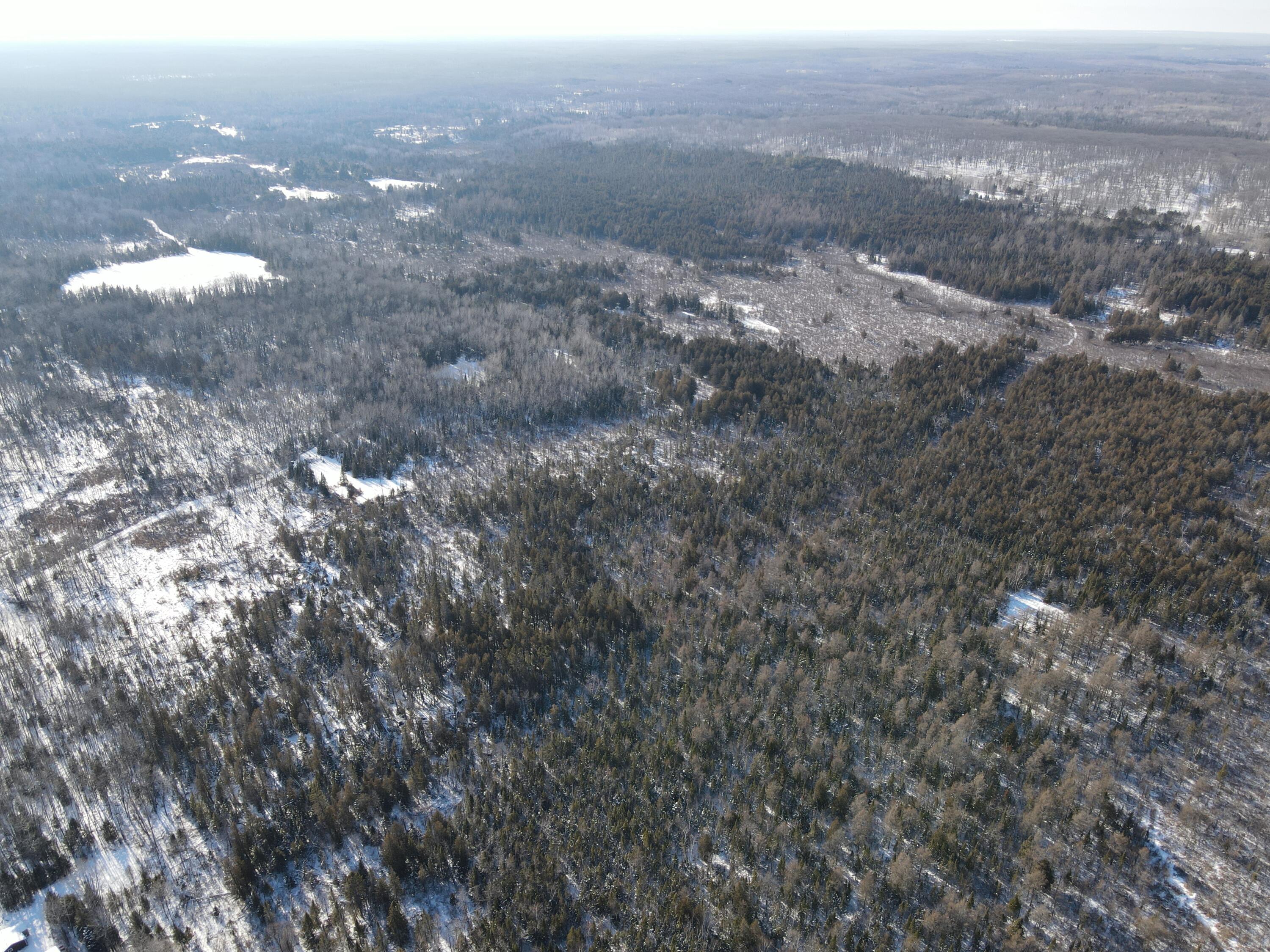 1710 Miller Road Lincoln, MI 48742 - Photo 29 of 58 DJI_0004