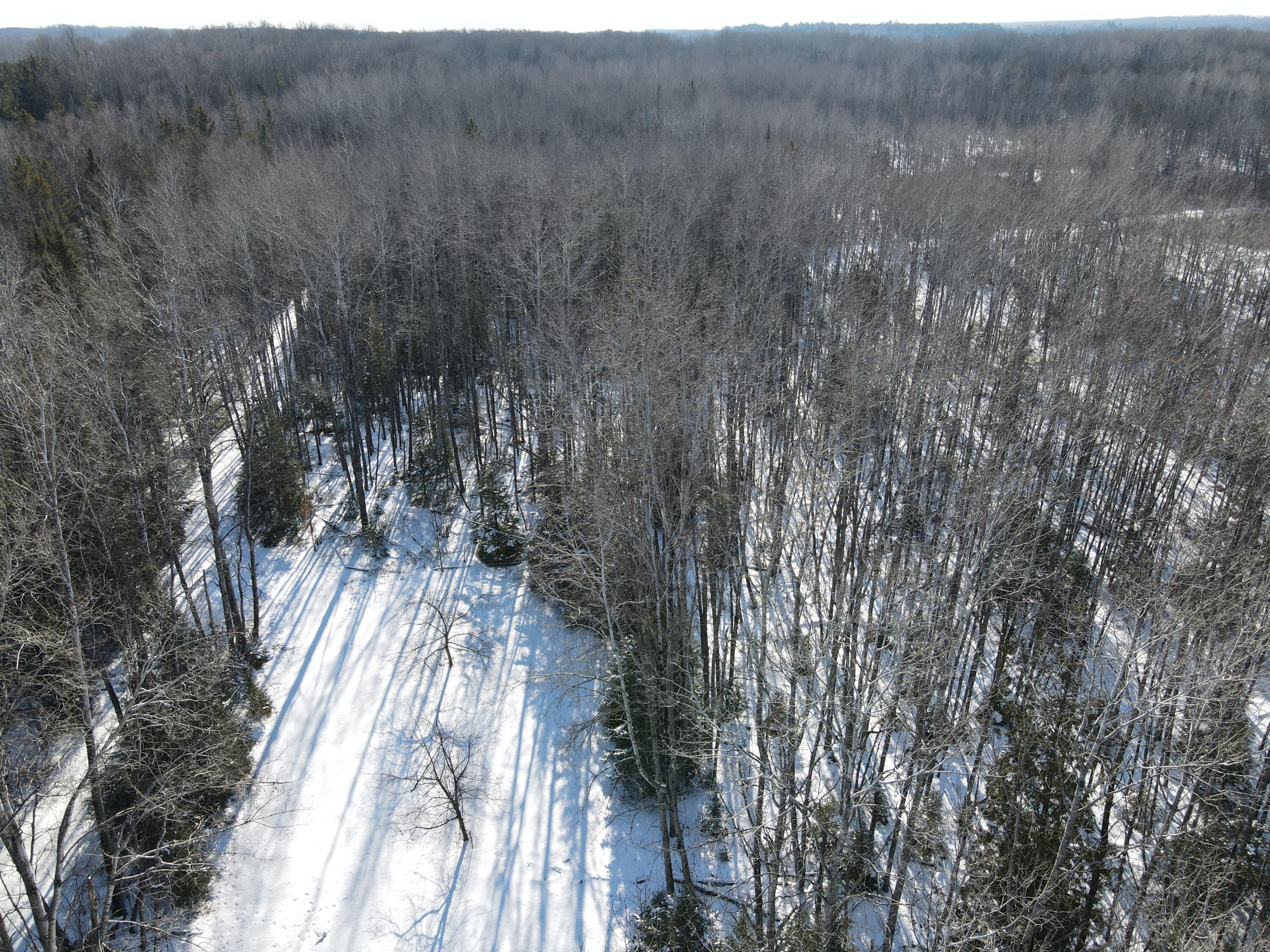 1710 Miller Road Lincoln, MI 48742 - Photo 31 of 58 DJI_0018