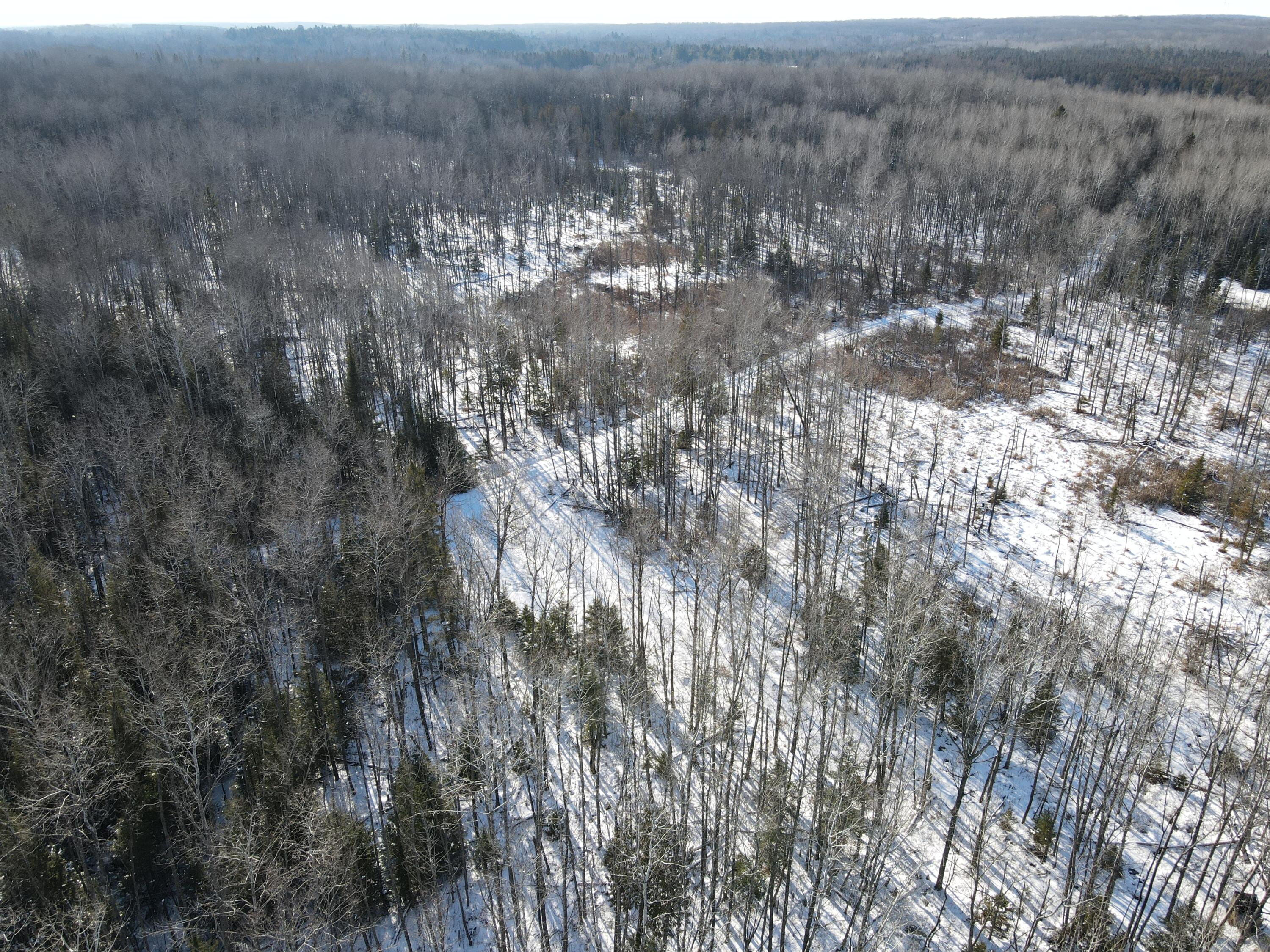 1710 Miller Road Lincoln, MI 48742 - Photo 32 of 58 DJI_0019