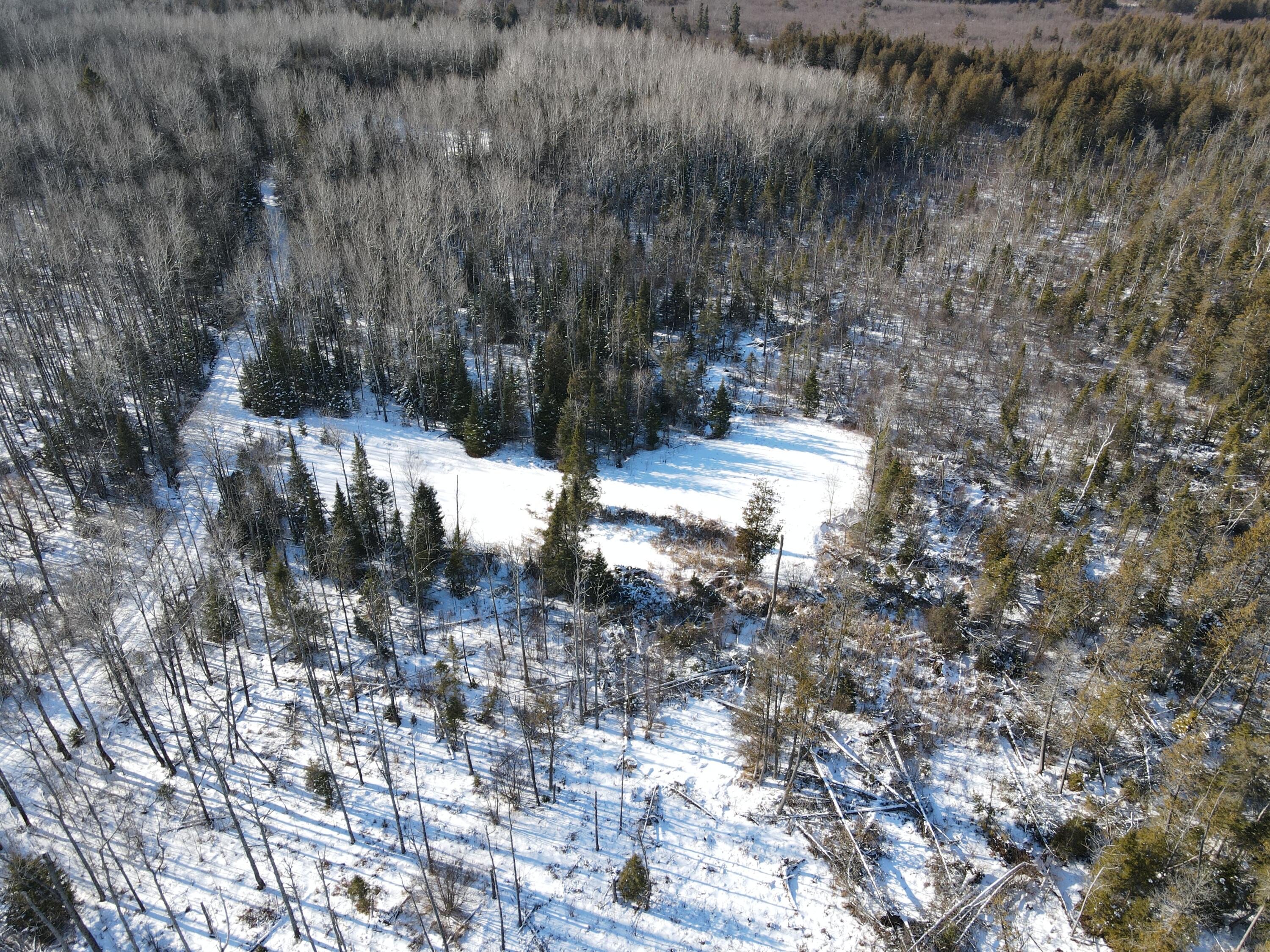 1710 Miller Road Lincoln, MI 48742 - Photo 33 of 58 DJI_0021