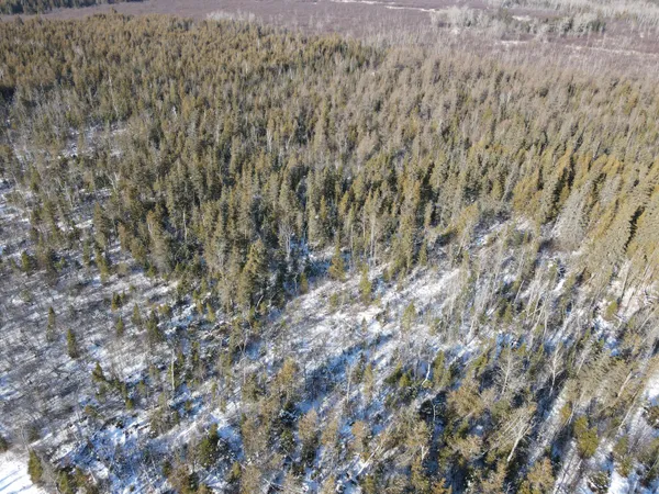 $380,000 | 1710 Miller Road, Lincoln, MI 48742