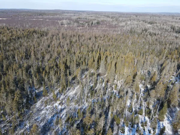 $380,000 | 1710 Miller Road, Lincoln, MI 48742