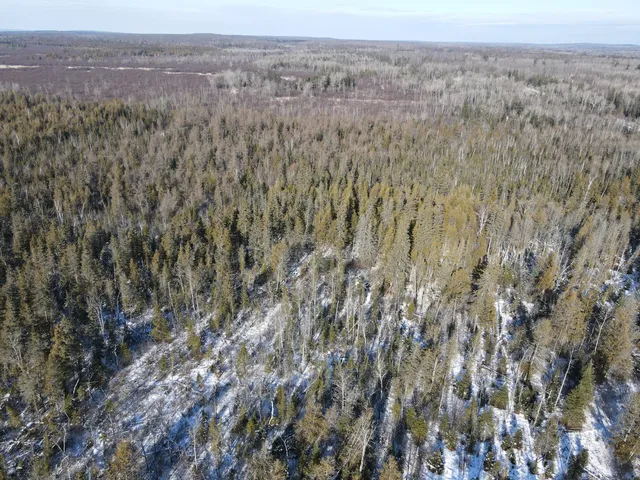 $380,000 | 1710 Miller Road, Lincoln, MI 48742