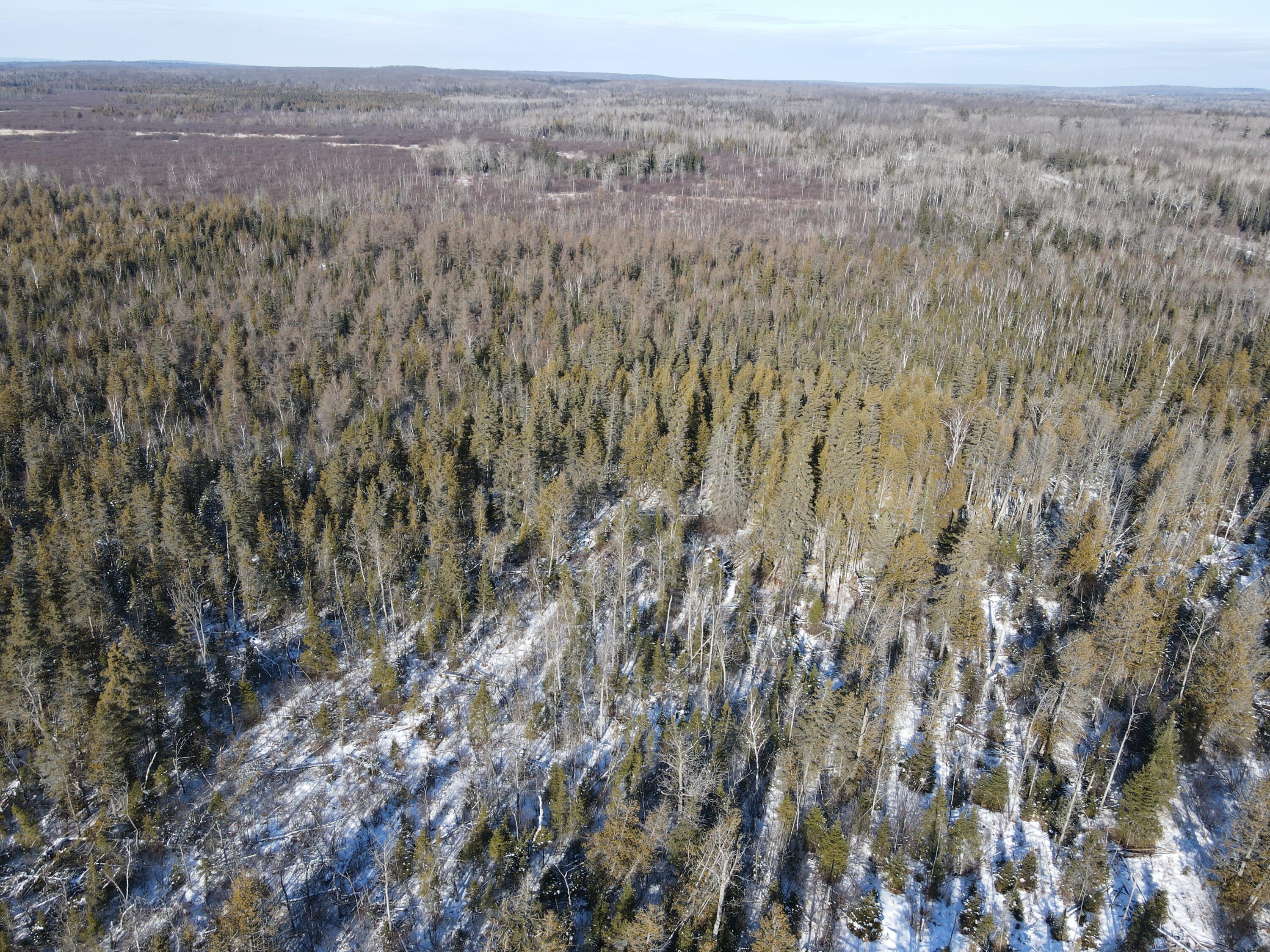 1710 Miller Road Lincoln, MI 48742 - Photo 35 of 58 DJI_0023