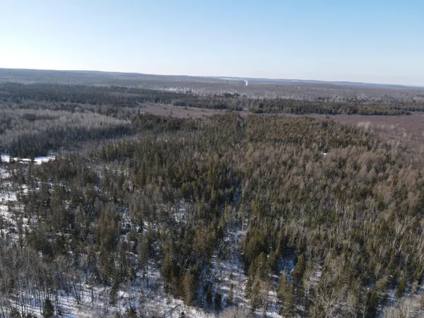 $380,000 | 1710 Miller Road, Lincoln, MI 48742