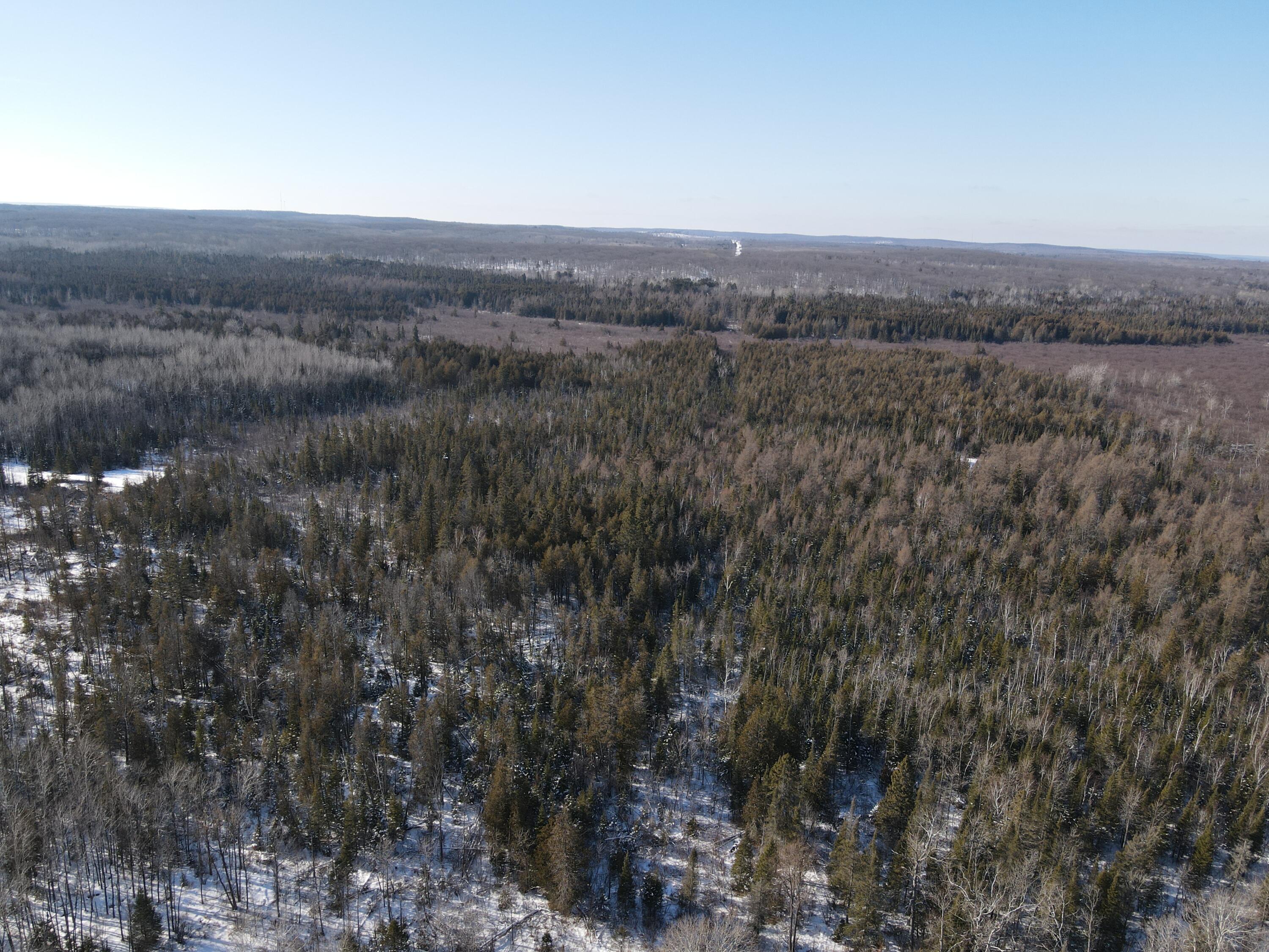 1710 Miller Road Lincoln, MI 48742 - Photo 36 of 58 DJI_0998