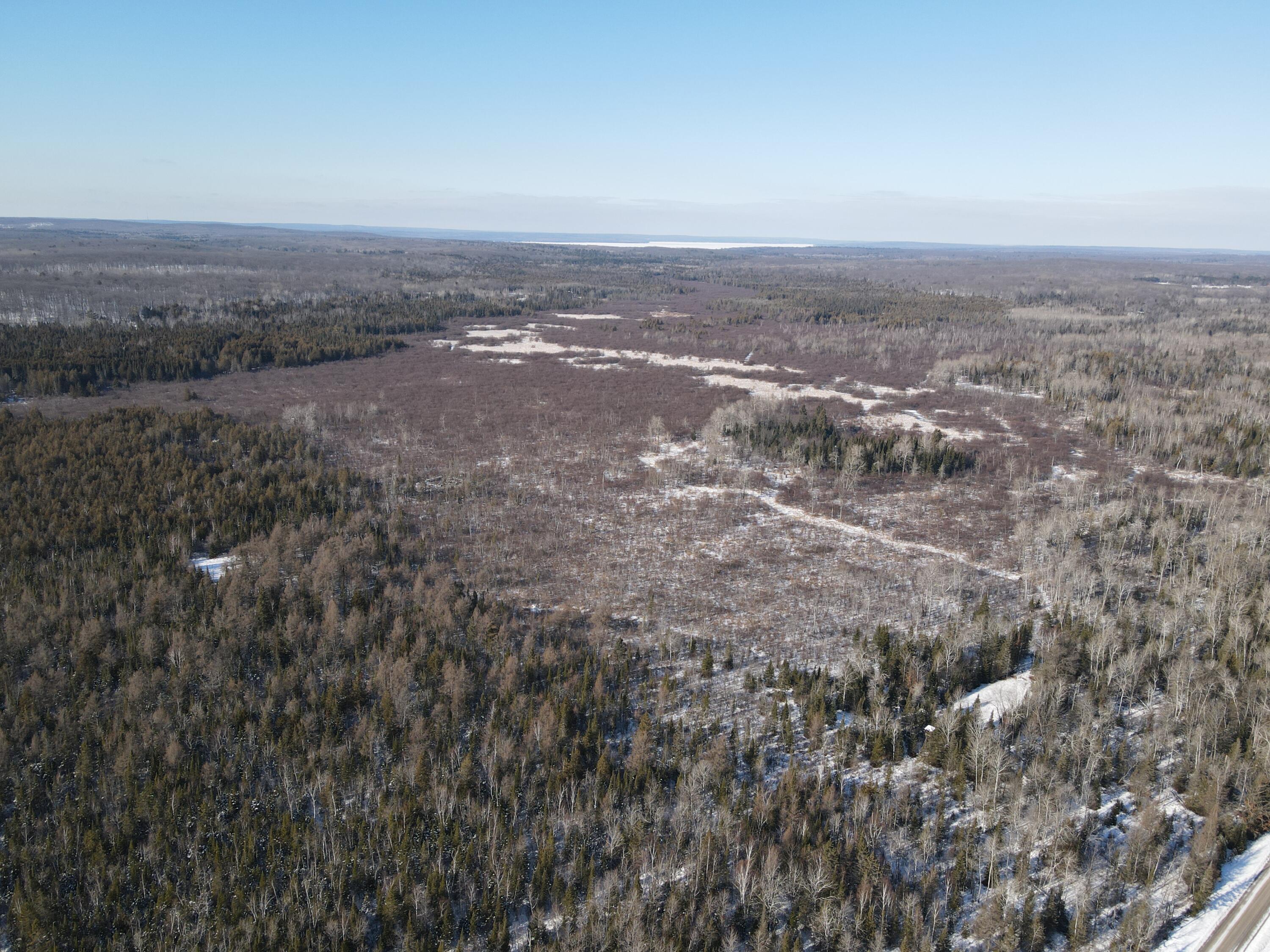 1710 Miller Road Lincoln, MI 48742 - Photo 37 of 58 DJI_0999