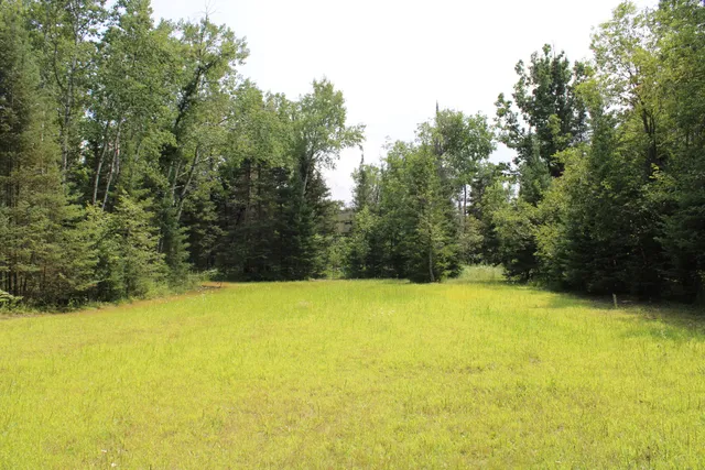 $380,000 | 1710 Miller Road, Lincoln, MI 48742