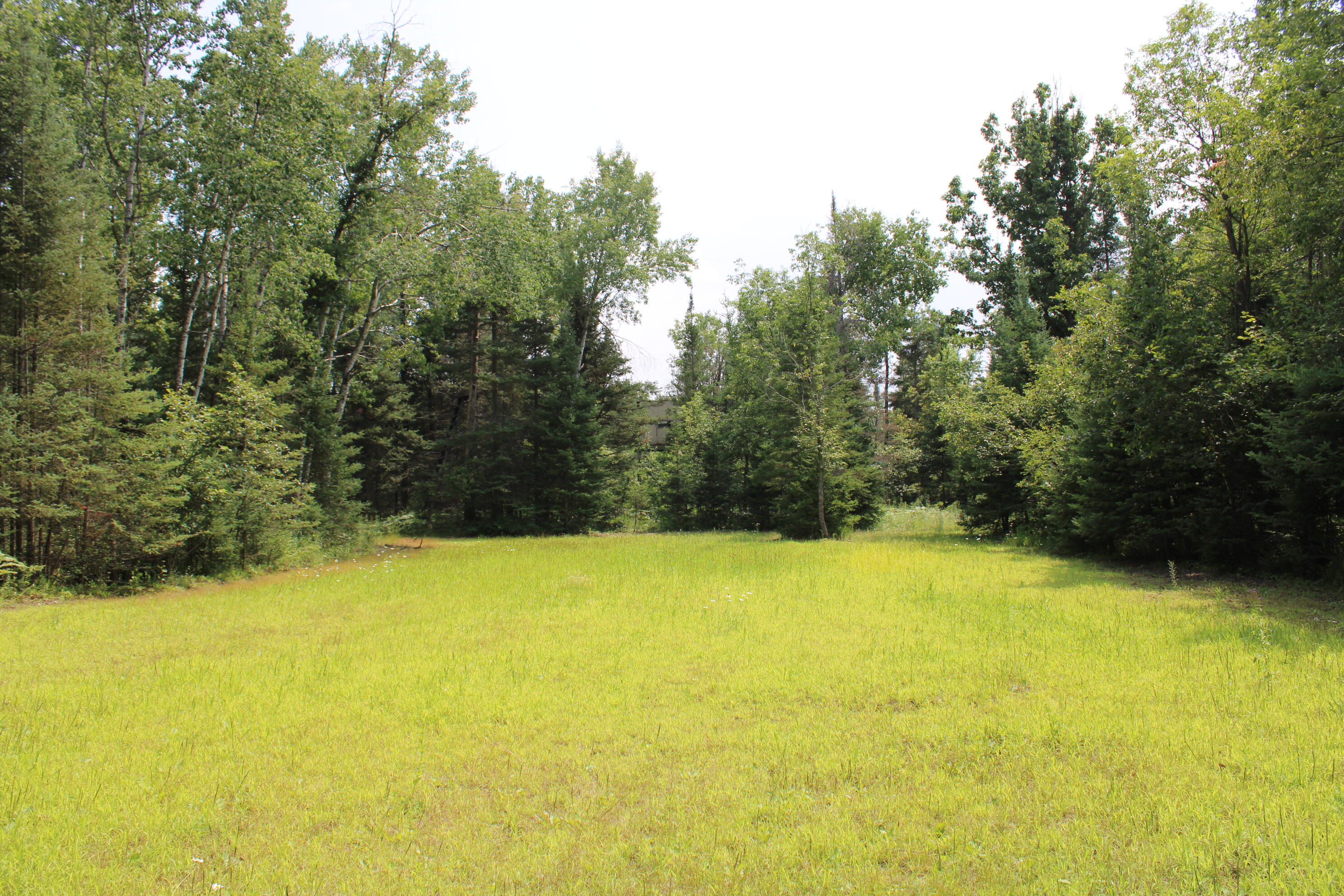 1710 Miller Road Lincoln, MI 48742 - Photo 39 of 58 IMG_2661 - Copy