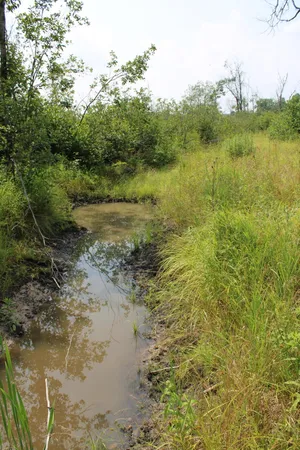 $380,000 | 1710 Miller Road, Lincoln, MI 48742