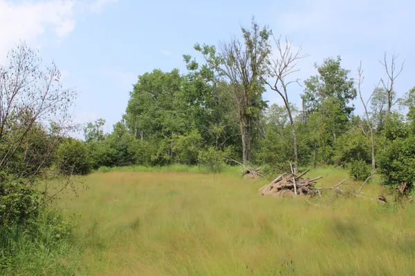 $380,000 | 1710 Miller Road, Lincoln, MI 48742