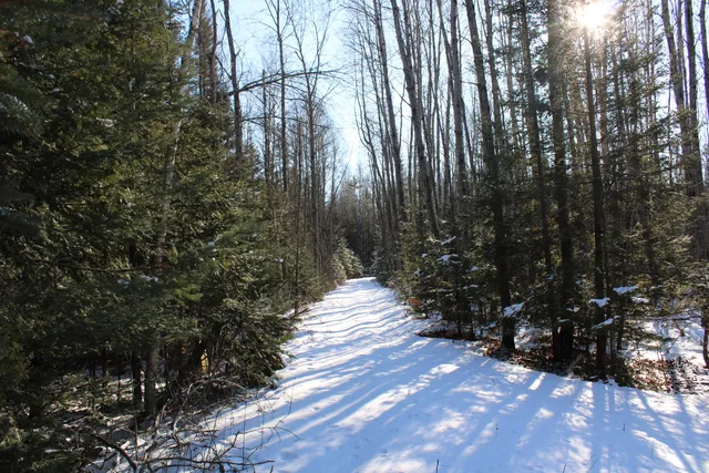 $380,000 | 1710 Miller Road, Lincoln, MI 48742