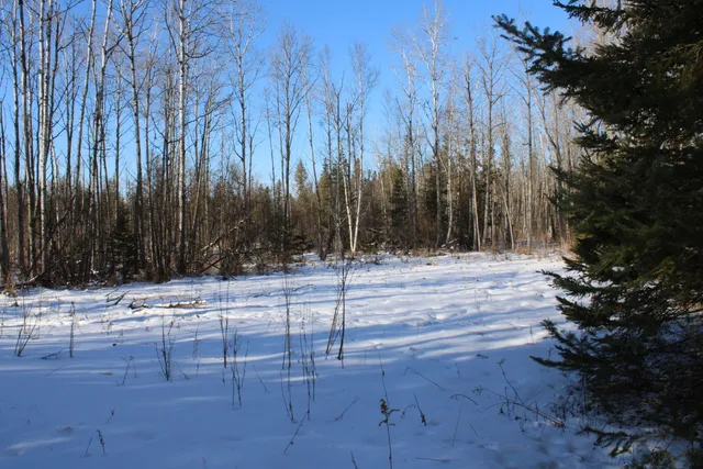 $380,000 | 1710 Miller Road, Lincoln, MI 48742