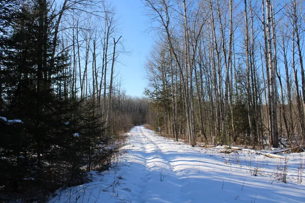 $380,000 | 1710 Miller Road, Lincoln, MI 48742