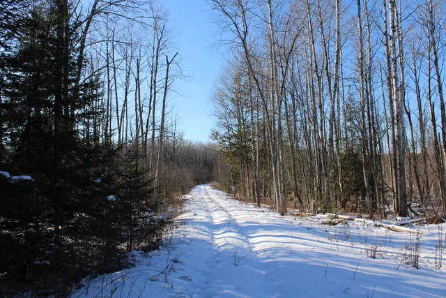 $380,000 | 1710 Miller Road, Lincoln, MI 48742