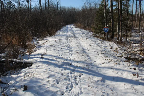 $380,000 | 1710 Miller Road, Lincoln, MI 48742