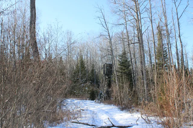 $380,000 | 1710 Miller Road, Lincoln, MI 48742