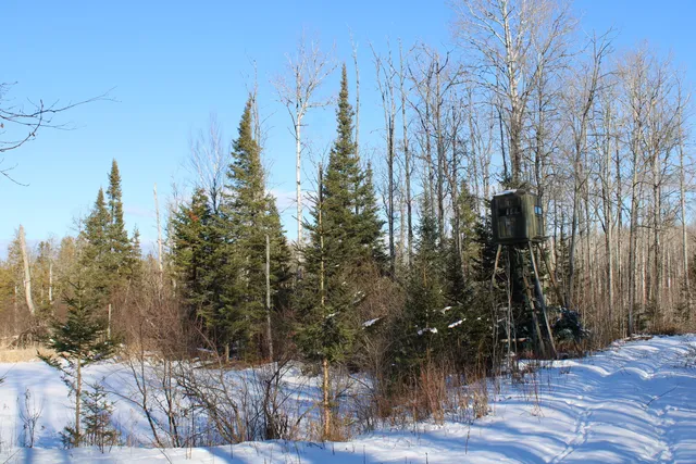 $380,000 | 1710 Miller Road, Lincoln, MI 48742