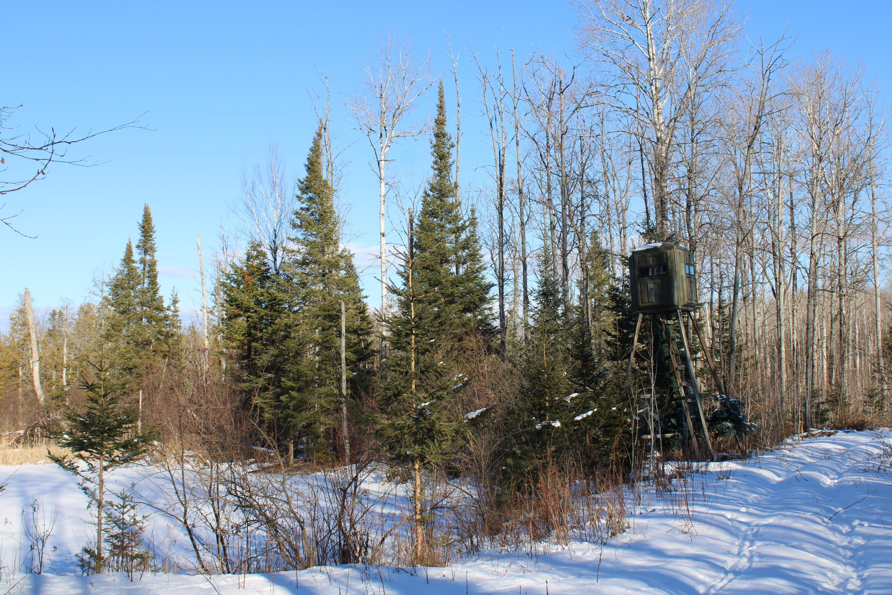 1710 Miller Road Lincoln, MI 48742 - Photo 48 of 58 IMG_5433