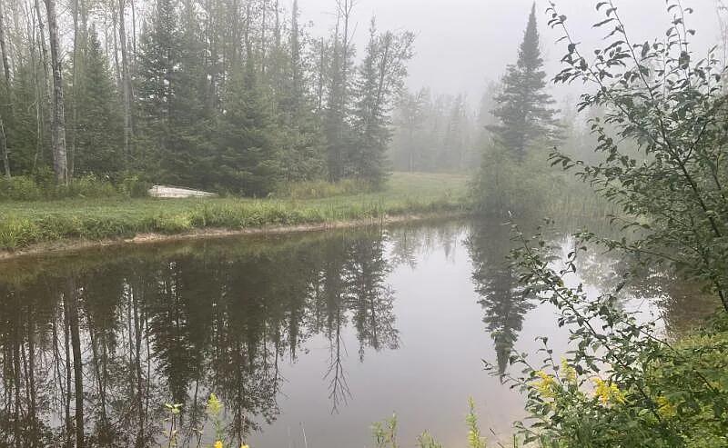 1710 Miller Road Lincoln, MI 48742 - Photo 49 of 58 Pond