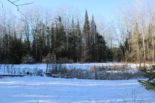 $380,000 | 1710 Miller Road, Lincoln, MI 48742