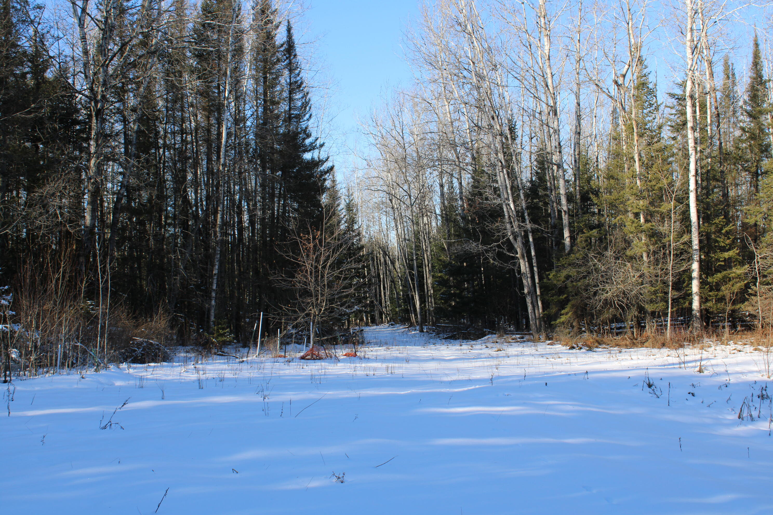 1710 Miller Road Lincoln, MI 48742 - Photo 51 of 58 IMG_5435