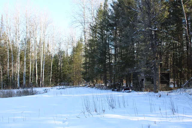 $380,000 | 1710 Miller Road, Lincoln, MI 48742