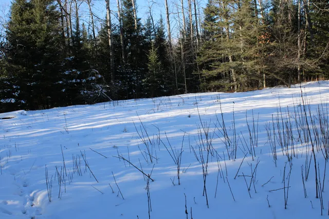 $380,000 | 1710 Miller Road, Lincoln, MI 48742