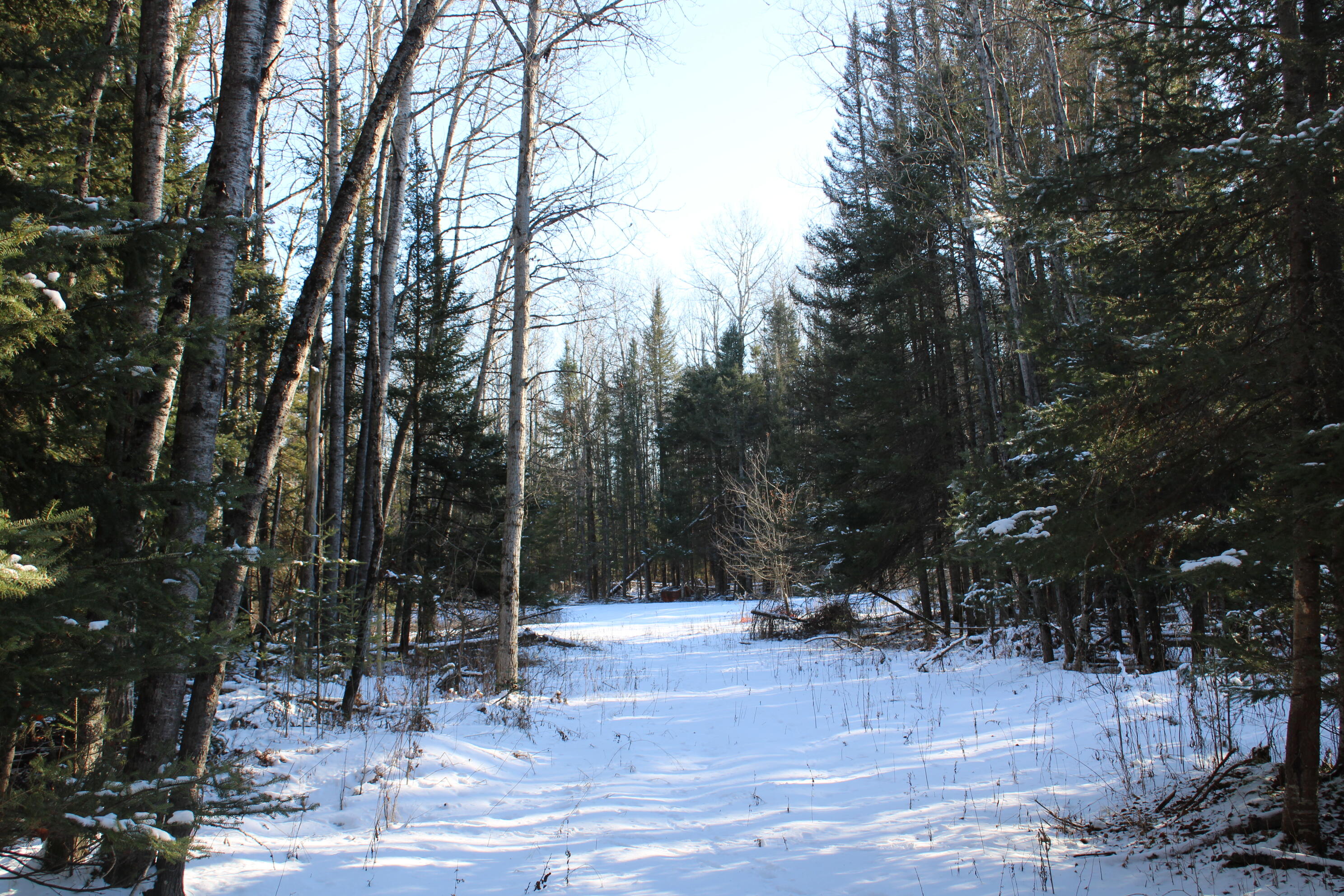 1710 Miller Road Lincoln, MI 48742 - Photo 54 of 58 IMG_5438