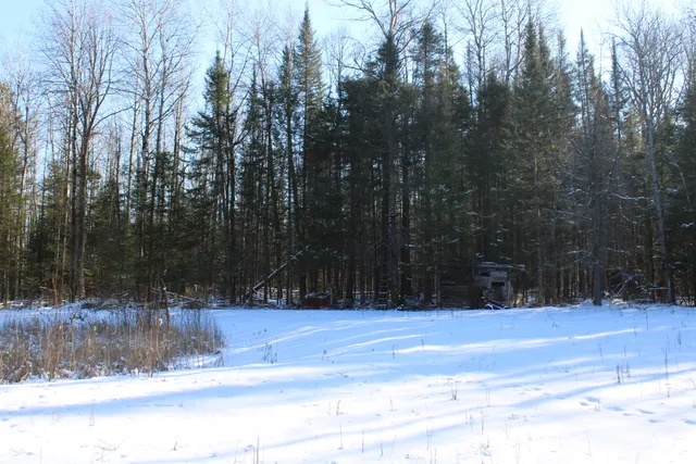 $380,000 | 1710 Miller Road, Lincoln, MI 48742