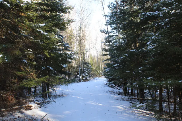 $380,000 | 1710 Miller Road, Lincoln, MI 48742