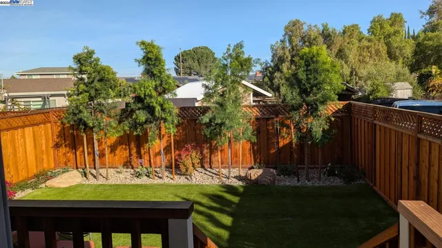 a view of a yard with plants and a tree