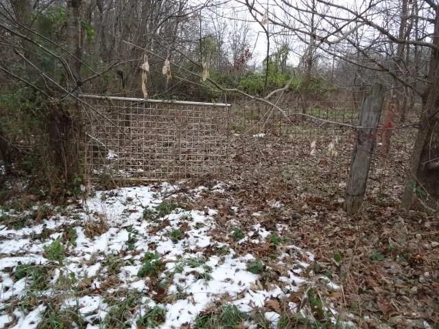 $17,000 | 3420 Northeast County Road 12193, Butler, MO 64730