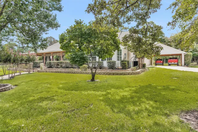 a view of a park with large trees