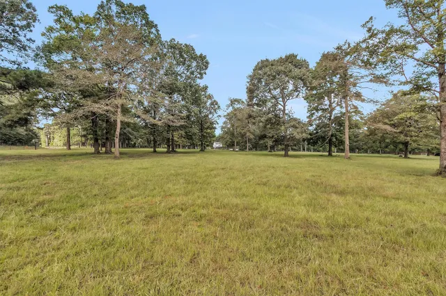 a view of a green field with trees in the background