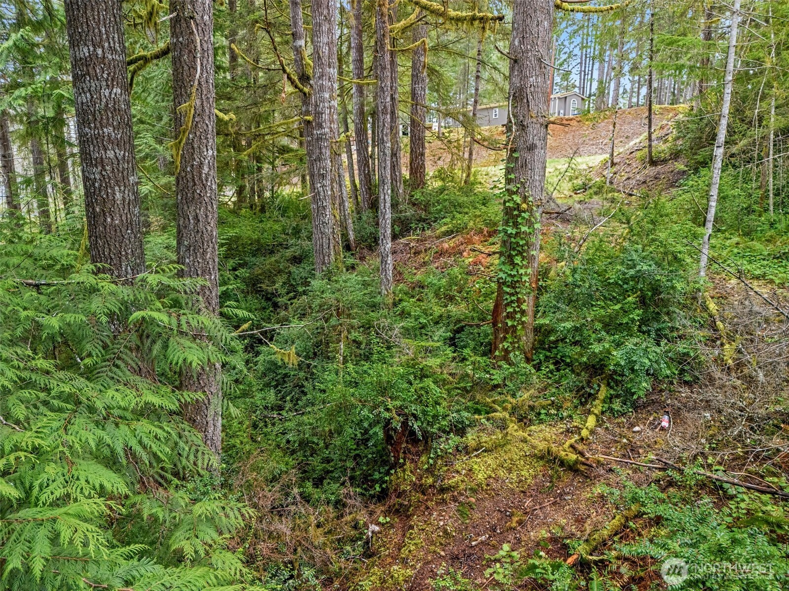 71 East Sleaford Road Shelton, WA 98584 - Photo 12 of 17