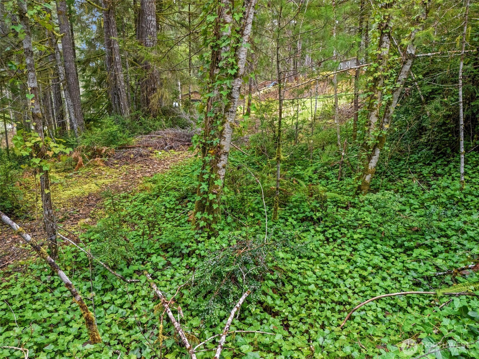 71 East Sleaford Road Shelton, WA 98584 - Photo 14 of 17 a view of a yard