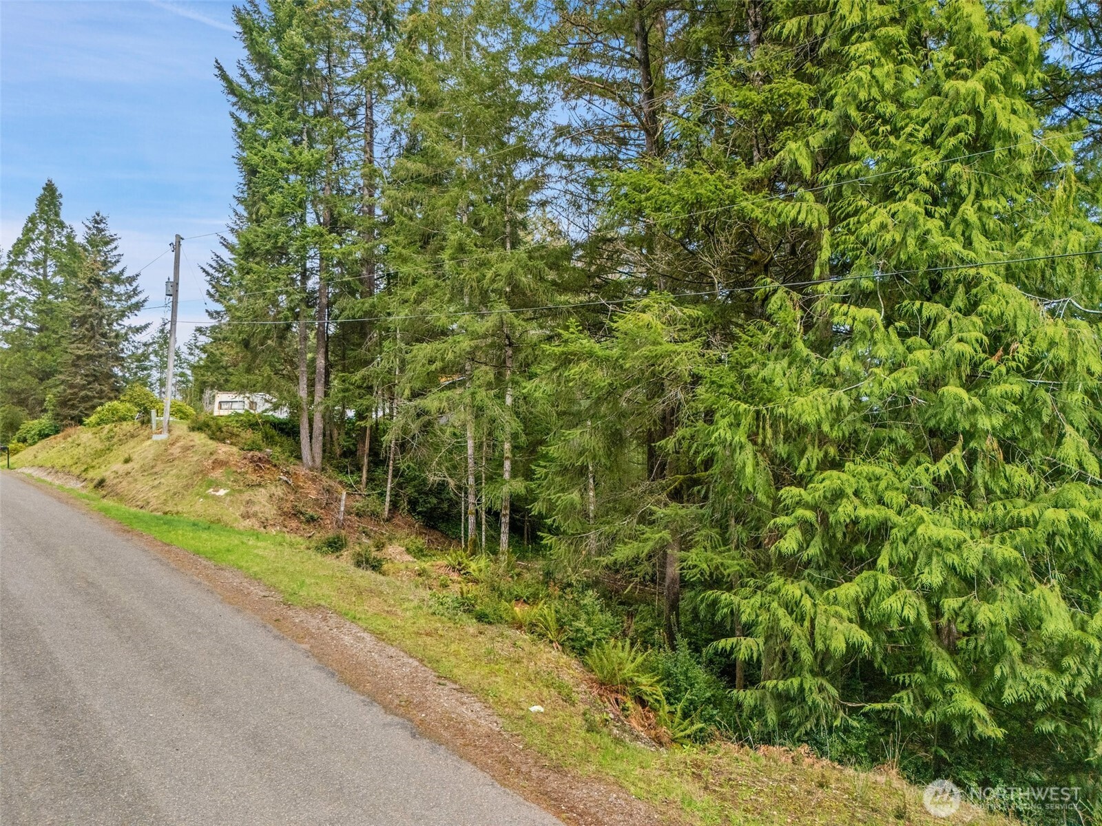 71 East Sleaford Road Shelton, WA 98584 - Photo 2 of 17 a view of a yard with plants and trees