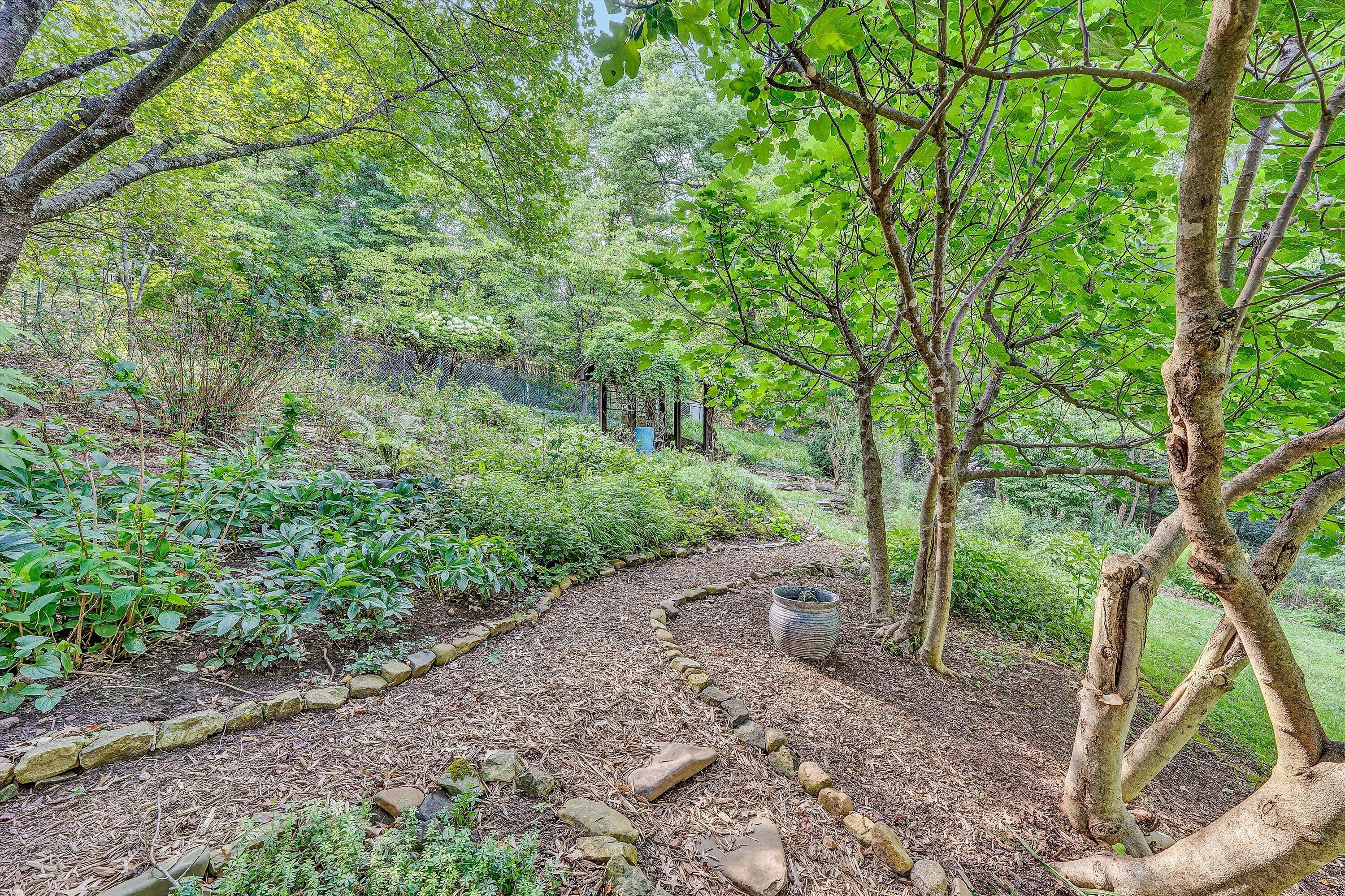 705 Beech Road Salem, VA 24153 - Photo 60 of 80 60-DSC06081