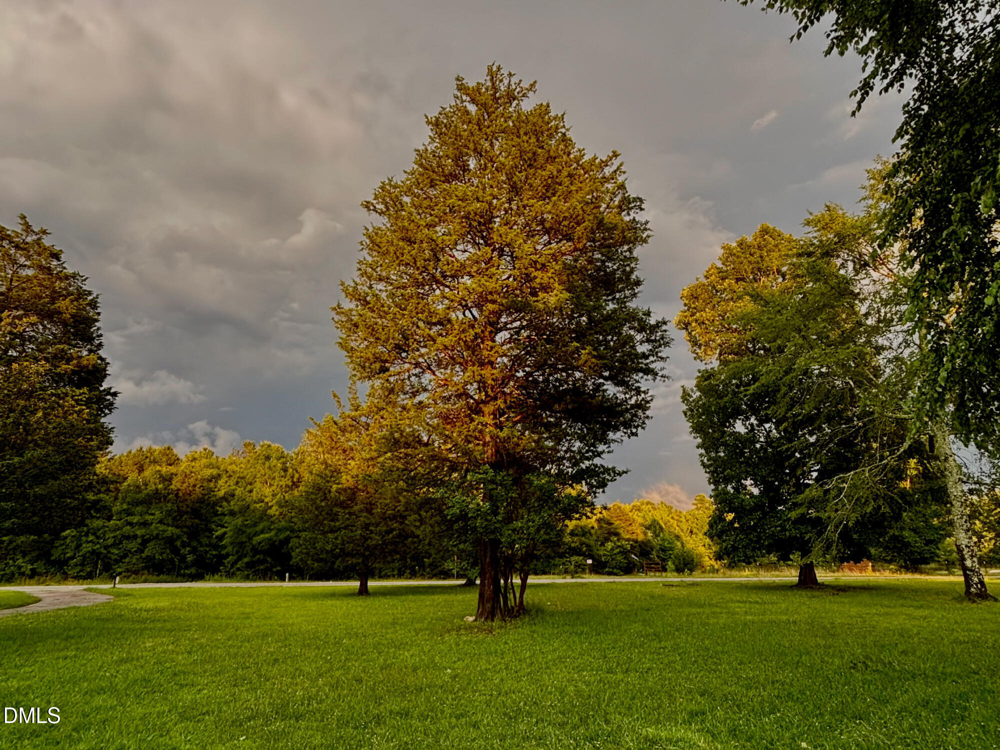2109 Harris Road Rougemont, NC 27572 - Photo 29 of 35 a garden view