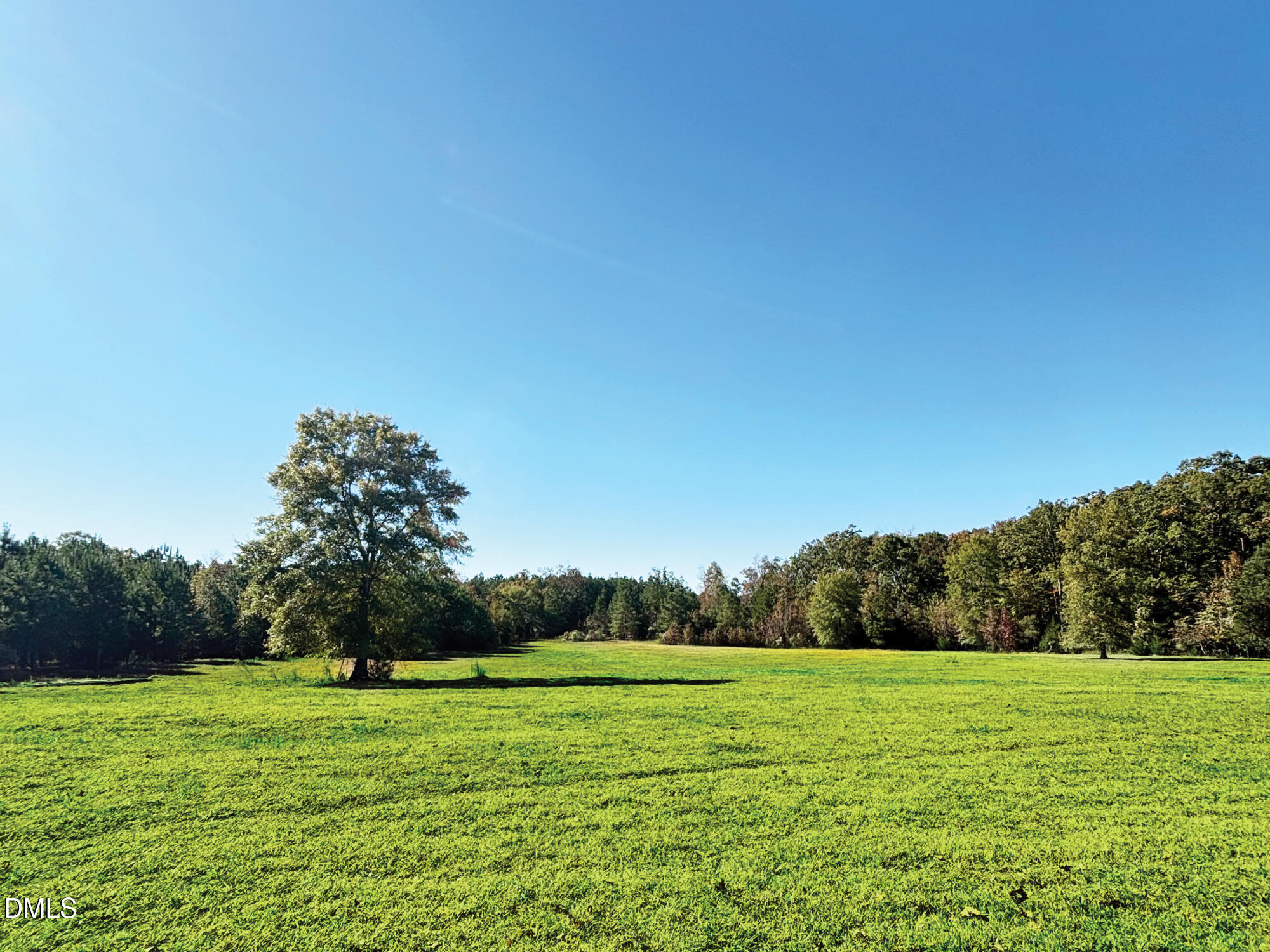 2109 Harris Road Rougemont, NC 27572 - Photo 35 of 35 a big yard with lots of green space