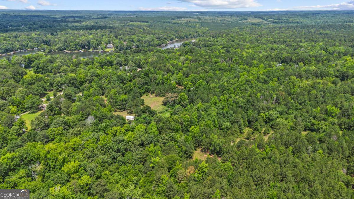 195 Cold Branch Road Eatonton, GA 31024 - Photo 9 of 24