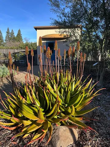 $5,750,000 | 15393 Vía Caballero, Monte Sereno, CA 95030